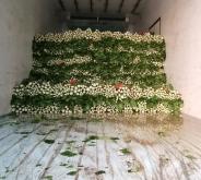 赤峰馬蹄溝芹菜基地電話(huà)號(hào)碼