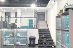 赤峰犬類養(yǎng)殖基地