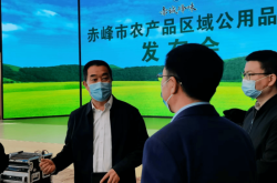 赤峰存量房網(wǎng)簽電話查詢