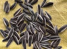 赤峰市葵瓜子批發(fā)電話號碼