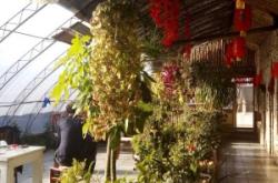 赤峰小酒窩飯店電話號(hào)碼查詢