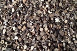 赤峰賣(mài)草蓮子的地方電話號(hào)碼