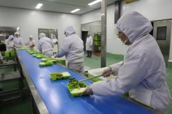 赤峰中糧主食廚房電話號碼