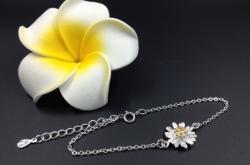 赤峰小雛菊批發(fā)電話地址查詢