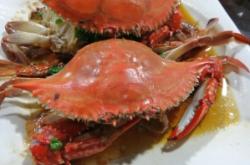 赤峰大排檔新城店電話號碼