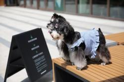 赤峰星巴克寵物店電話號(hào)碼