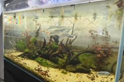 赤峰二手小魚缸轉(zhuǎn)讓電話號碼