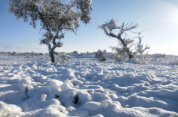 赤峰野外集訓營電話地址查詢