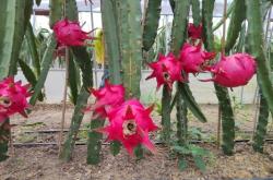 赤峰果樂水果店電話號碼