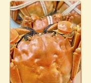 赤峰新鮮海鮮禮盒批發(fā)電話(huà)號(hào)碼