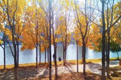 赤峰陽(yáng)光花園幼兒園電話號(hào)碼