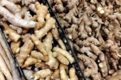 赤峰姜祖養(yǎng)生館地址電話號碼