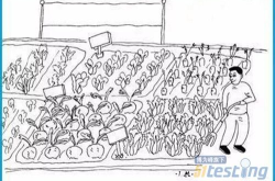 赤峰承包菜園電話多少號