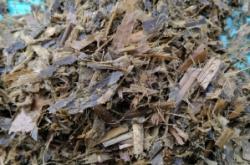 赤峰收青貯玉米電話號碼是多少