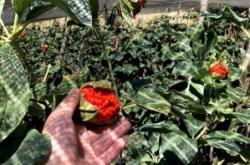 赤峰種子批發(fā)商地址電話號(hào)碼