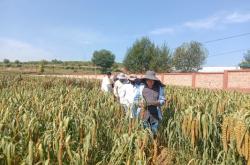 赤峰市林西縣農(nóng)牧局