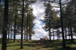 赤峰西老府拼車電話號碼