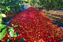 赤峰林西螢石選廠電話號碼