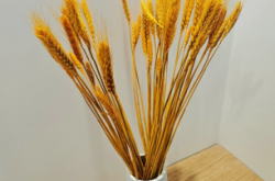 赤峰家庭服務(wù)協(xié)會(huì)電話是多少號(hào)