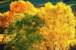 赤峰宿邦老年公寓電話號(hào)碼