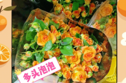 赤峰鮮花零售電話地址查詢(xún)