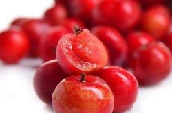 赤峰高紅鈣果基地地址電話號(hào)碼