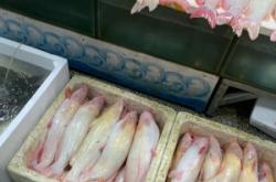 赤峰肉聯(lián)廠電話號碼