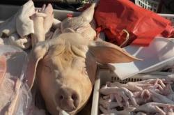 赤峰大集炸雞店電話多少號(hào)