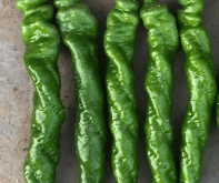 寶祿水暖赤峰銷售電話地址查詢