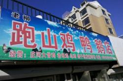 赤峰活雞鴨鵝批發(fā)電話號碼