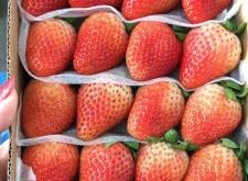 赤峰真金板批發(fā)商電話號碼