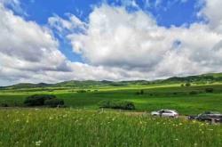 赤峰飛機場怎么接機的電話號碼