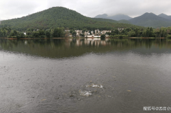 赤峰哪里有魚群賣呀電話號