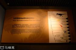 赤峰送車七夕電話地址查詢