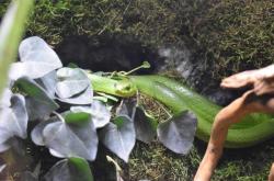 赤峰阿凡達生態(tài)魚缸電話地址