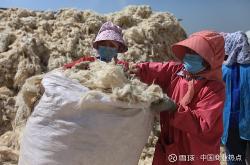 赤峰東黎羊絨廠家電話(huà)號(hào)碼