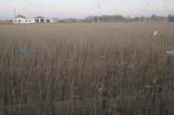 赤峰互惠養(yǎng)殖場(chǎng)電話多少號(hào)