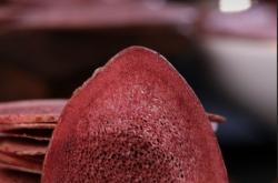 赤峰鹿茸店鋪電話號(hào)碼多少號(hào)