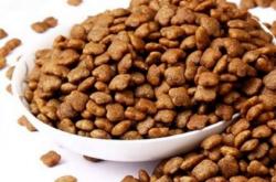 赤峰繁育貓舍地址電話查詢號(hào)碼