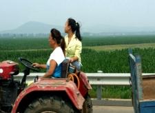 赤峰到大阪高速電話多少號