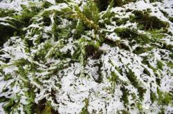 赤峰雪花噴霧廠電話號碼查詢