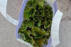 赤峰植物園附近送菜電話號碼