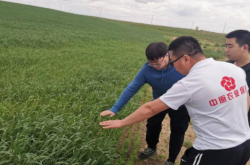 赤峰市牧草銷售電話地址查詢