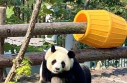 赤峰萌動(dòng)動(dòng)物園電話(huà)號(hào)碼