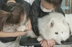 赤峰美容師培訓(xùn)學(xué)校電話號(hào)碼