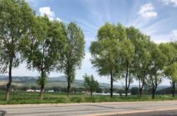 赤峰旗禹德堂醫(yī)院電話號(hào)碼