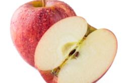 赤峰寧城嘎啦果園地址電話號(hào)碼