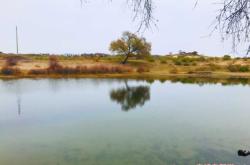 赤峰烏蘭布統(tǒng)飯店地址電話號碼