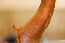 赤峰最新大排檔地址電話號碼