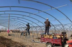 赤峰市育苗室電話是多少號(hào)